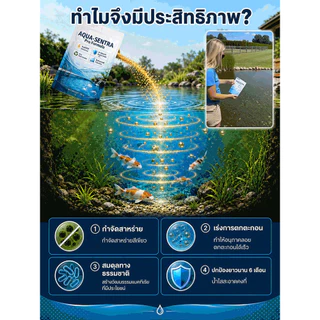 【คืนความใส】ผงคืนชีพสระปลา ปรับสภาพน้ำ/เพิ่มออกซิเจน/ลดแอมโมเนีย/ย่อยสลายตะกอน/ผงบำบัดน้ำ/ผงฟื้นฟูน้ำ/สระปลา