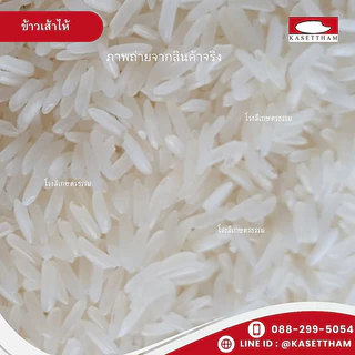 14 กก. ข้าวเสาไห้ 100%เม็ดสวยไม่มีหัก ข้าวเก่านาปี หุงดีขึ้นหม้อ ข้าวสารตราส้มเขียวหวาน ส่งฟรี สั่ง 3 ถุงคุ้มค่าส่ง