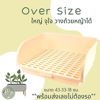 ห้องน้ำกระต่าย oversize (จัมโบ้)