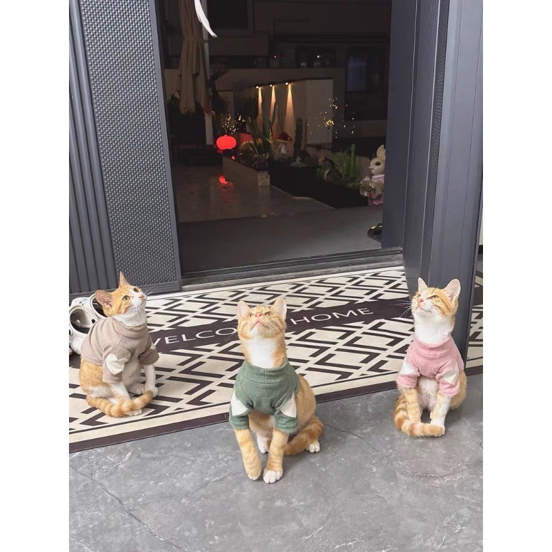 รูปภาพ 4