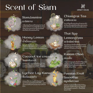 โรงแรมหรู ✅ ก้านไม้หอม Hanky Reed Diffuser ก้านน้ำหอม น้ำหอมอโรม่า น้ำมันหอมระเหย ก้านหอม 50 ml