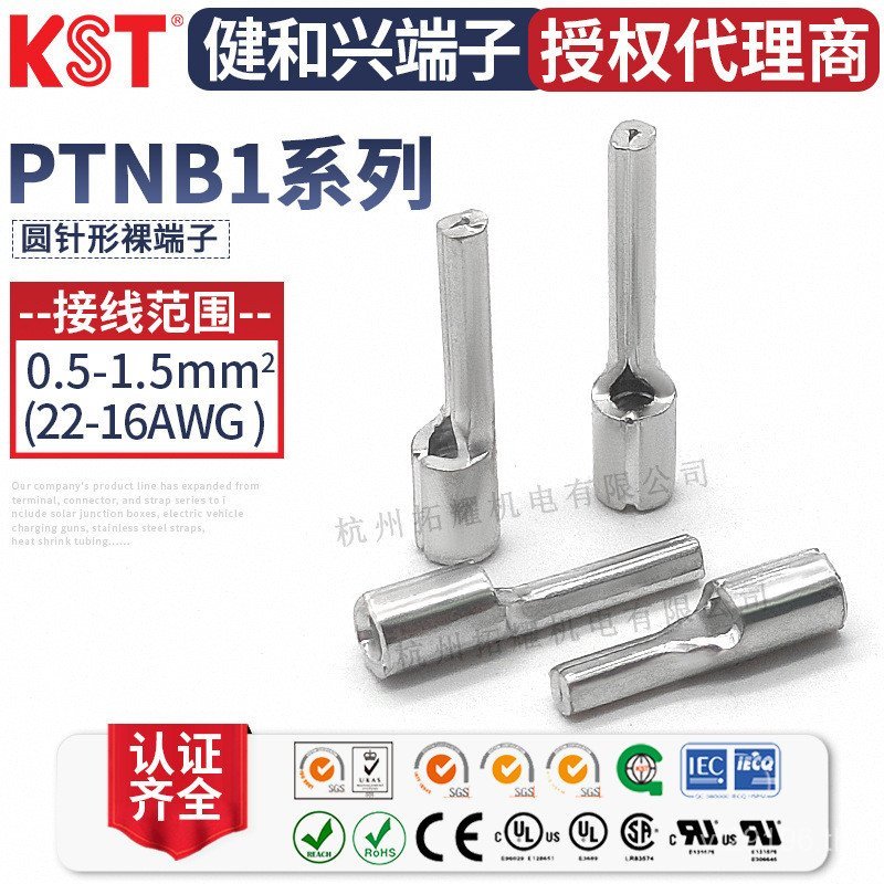 /1314 ทองแดงชุบดีบุก 9/KST/Pin-Shaped RoHS Bare Terminal// PTNB1-7 Jianhexing 1610/UL12 EXHS