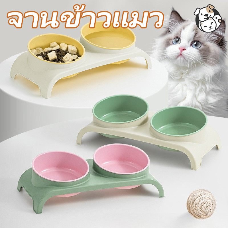 FOR_PET ชามแมว ชามอาหารแมวสแตนเลส จานข้าวแมว มุมเอียงทอง 15 ° ถอดออกได้ ไม่ทำร้ายคอ