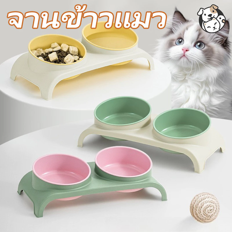 FOR_PET ชามแมว ชามอาหารแมวสแตนเลส จานข้าวแมว มุมเอียงทอง 15 ° ถอดออกได้ ไม่ทำร้ายคอ