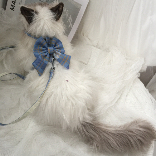 [จัดส่งด่วน] Cat Traction Rope Anti-breakaway Outing Dedicated Cat Walking Rope Cat Walking Chain Do