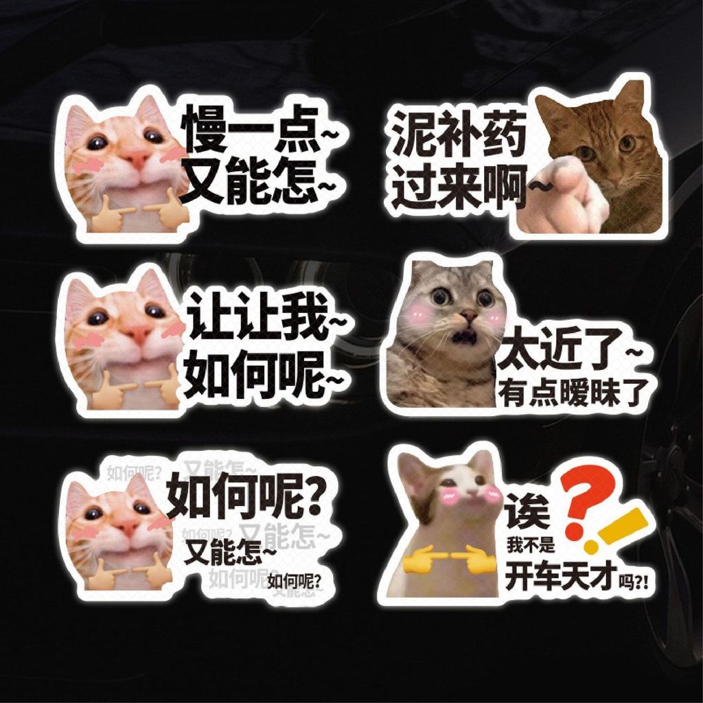 สัตว์เลี้ยงน่ารัก MEME cat Emotinon bag car สะท้อนแสงข้อความตลก Creative ไม่มีกาว Leaving car Sticke