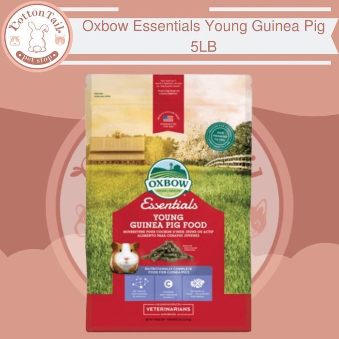 OXBOW Guinea Pig YOUNG 5 LB