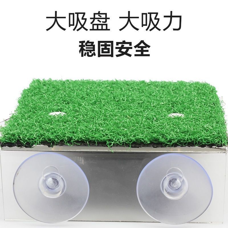 Turtle Terrace Turtle Supplies ระดับน้ําสูงลอยเกาะเต่าแพลตฟอร์ม Backing Platform 7.24
