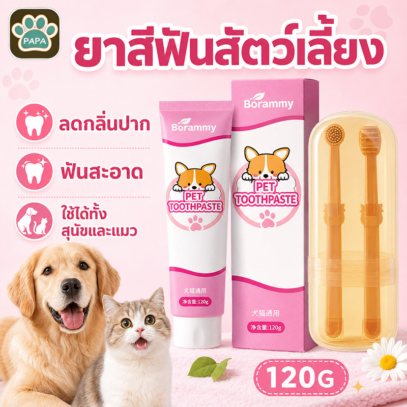 ชุดแปรงฟันสัตว์เลี้ยง ชุดทำความสะอาดฟันแมว ยาสีฟันพร้อมแปรง ลดกลิ่นปาก ลดการสะสมของแบคทีเรีย