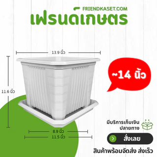กระถางต้นไม้ กระถางกุหลาบ กระถางสี่เหลี่ยมทรงสูง 13 นิ้ว สีขาว สีดำ ขั้นต่ำ 2 ใบ ชิ้น อัน