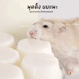 crazy pet shop 🐹พุดดิ้งนมแพะ พุดดิ้งแมว/หนูแฮมสเตอร์ สำหรับสัตว์เลี้ยงทุกชนิด