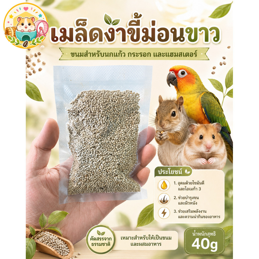 Hamster.lover งาขี้ม่อนขาว 40 กรัม อาหารเสริมธัญพืช ขนมทานเล่นสำหรับนกแก้ว แฮมสเตอร์ กระรอก บำรุงขนและผิวหนัง