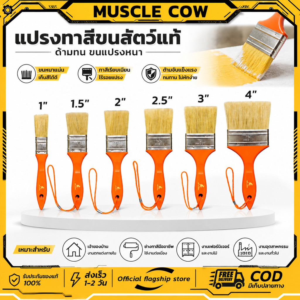 MUSCLE COW แปรงทาสีขนสัตว์แท้ 1-4" ด้ามทน ขนแปรงหนา ทาสีเรียบ ทนทาน สำหรับงานทาสี ตกแต่ง