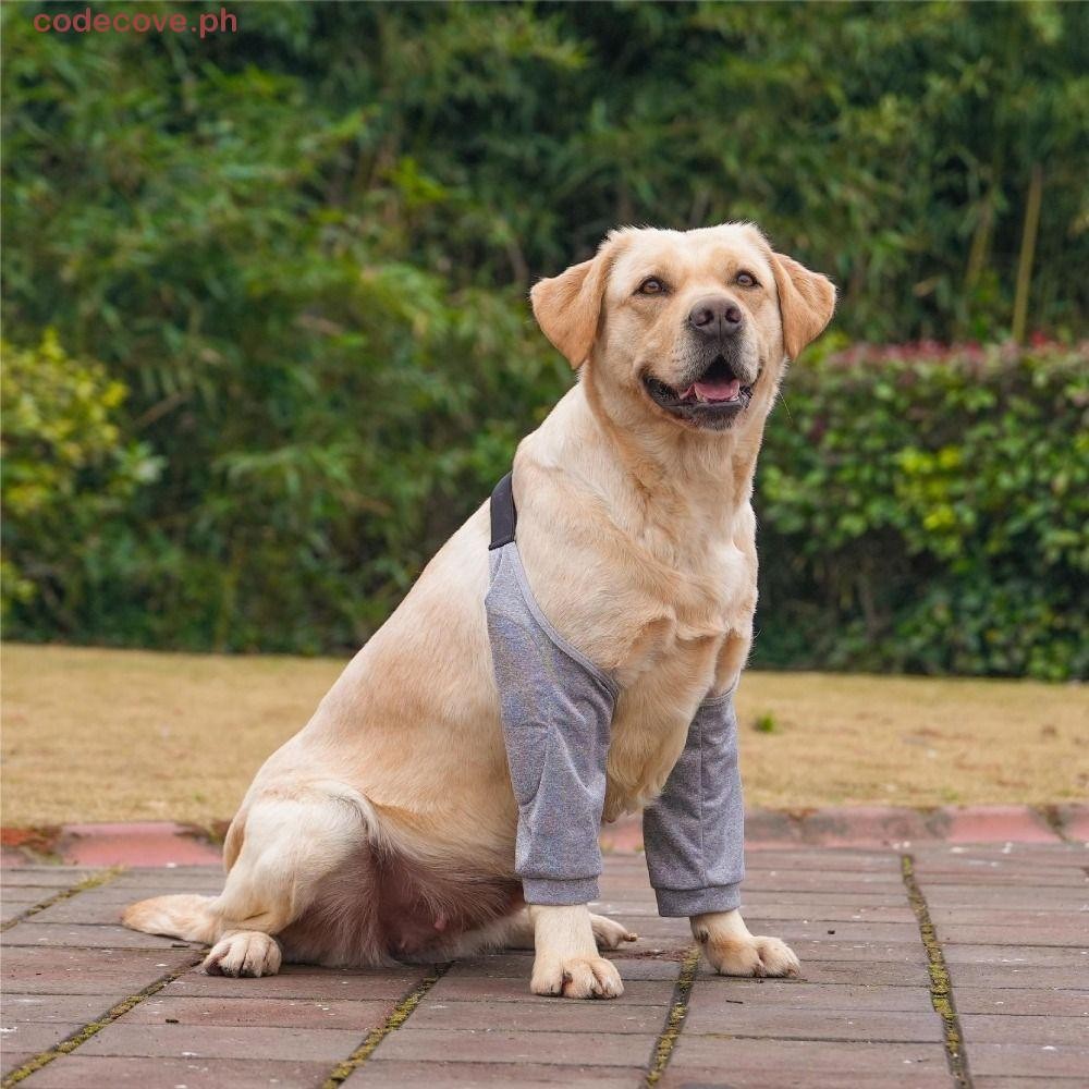 CODECOVE​ Dog Elbow Sleeves, Cotton Brace Dog Elbow Protector, Canine Elbow Shoulder Support Soft Ca