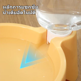 COD สัตว์เลี้ยงดื่มน้ำชาม 500ML ที่ให้น้ำอัตโนมัติ เติมน้ำอัตโนมัติ ตู้กดน้ําสัตว์เลี้ยง หมา แมว ให้น้ำหมาแมวโดยเฉพาะ
