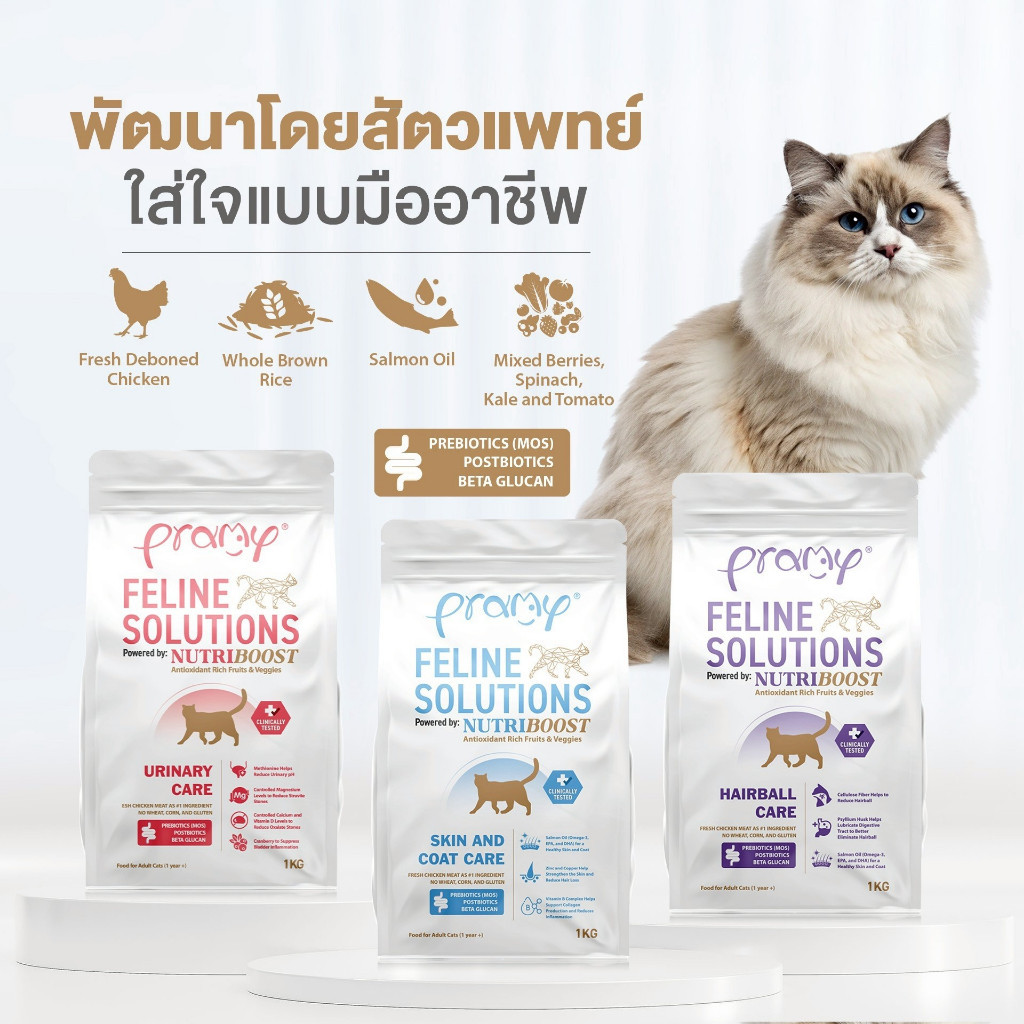 Pramy Feline Solutions อาหารแมวสูตรเฉพาะทาง พัฒนาโดยสัตวแพทย์ ตอบโจทย์น้องแมวที่มีปัญหาสุขภาพ