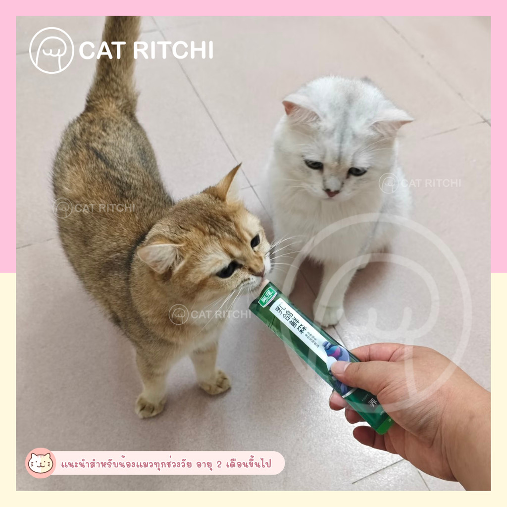 [🚚พร้อมส่ง / แบ่งขาย 1 ซอง] JOY PETS อาหารเปียกแมวซองบีบ Complete&Balance (15g) - รูปที่ 3