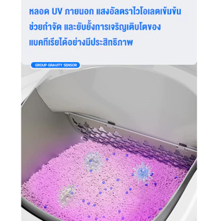 ห้องน้ำแมวอัตโนมัติ 80L ห้องน้ำแมวอัจฉริยะ open-top ฆ่าเชื้อด้วยรังสีUV ห้องน้ำแมวอัต ห้องน้ำเเมวแบบอัตโนมัติ ใช้แอพได้