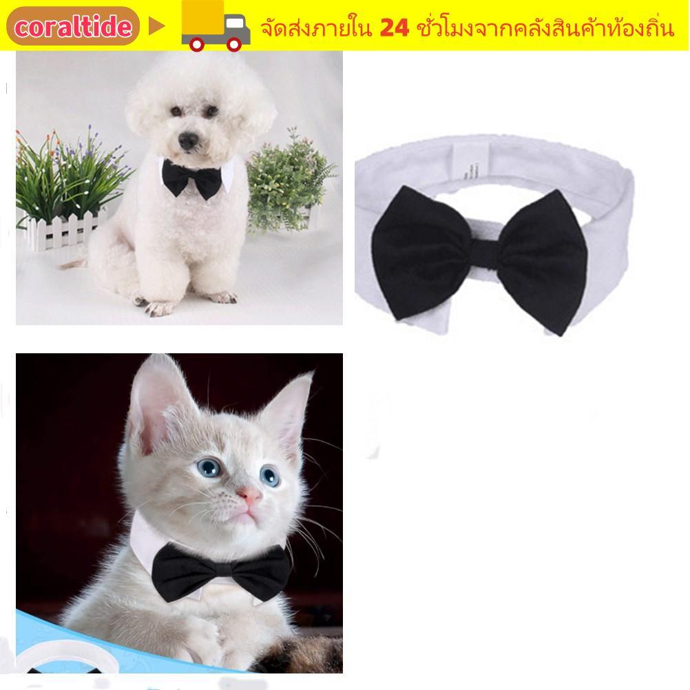 CORALTIDE Cat Tuxedo Collar Grooming อุปกรณ์เสริม Puppy Cat ลูกแมวสัตว์เลี้ยงอย่างเป็นทางการ Tuxedo