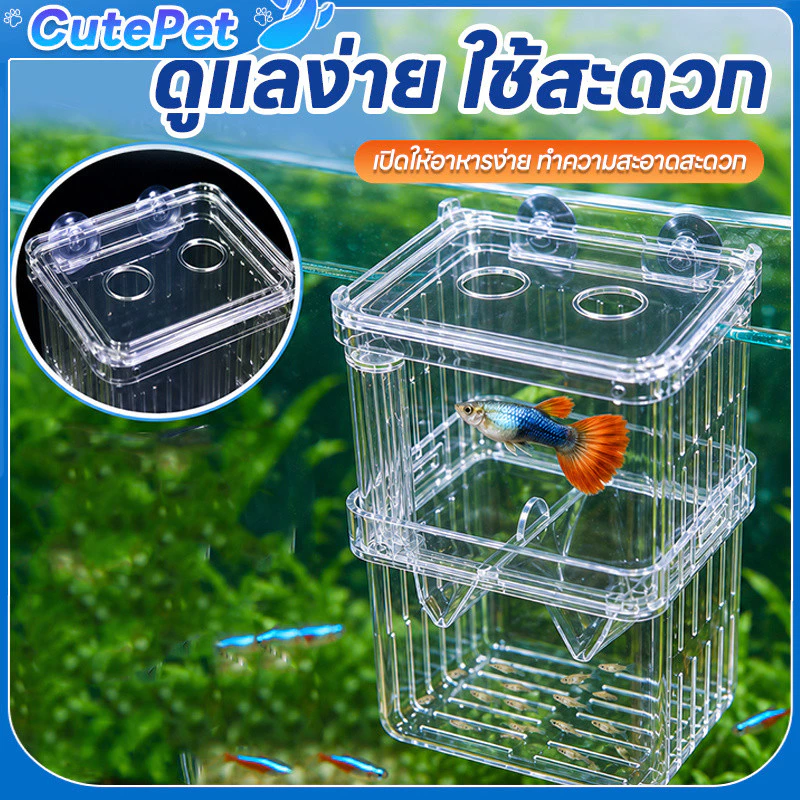 กล่องแยกปลา ตู้เพาะพันธุ์ปลา อะคริลิคใส แบบแขวน สำหรับปลากุ๊ปปี้ ขนาด S L
