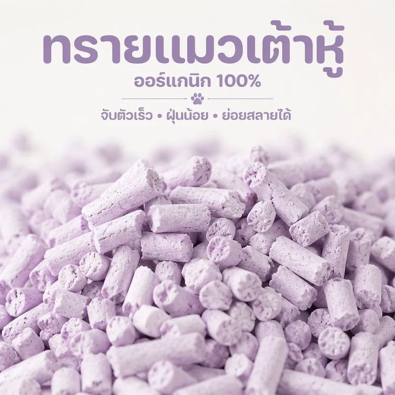SKISOPGO ทรายแมวเต้าหู้ ออร์แกนิค100% ดับกลิ่นที่แข็งแกร่ง ทรายแมว tofuCatLitter 12ลิตร สินค้าคุณภาพ thumbnail 9