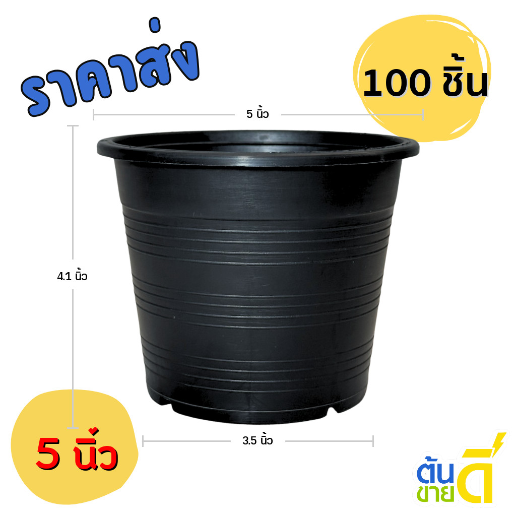 กระถาง กระถางต้นไม้ กระถางพลาสติก เบอร์ 5 นิ้ว สีดำ 100 ใบ ยกมัด