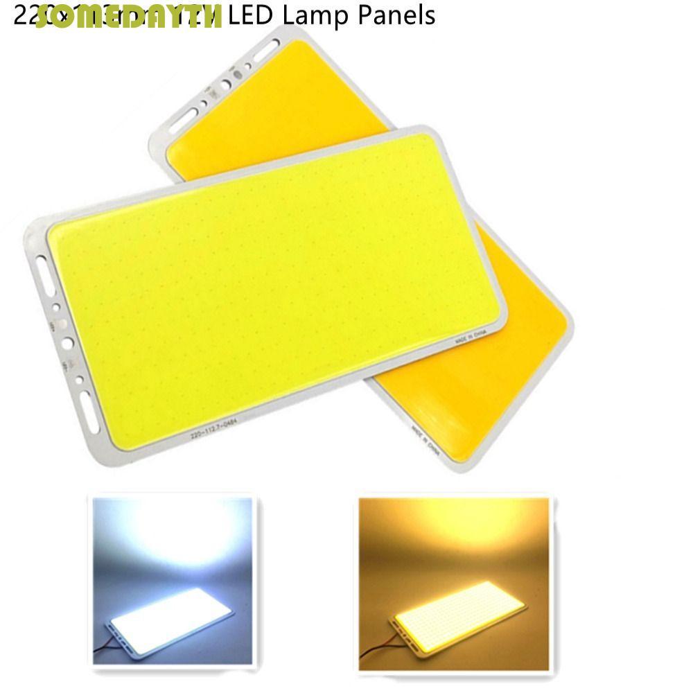 SOMEDAY Camping Flood Lights, White Light Chip Strip COB LED Panel Light, Ultra-light 100W 12V Ultra