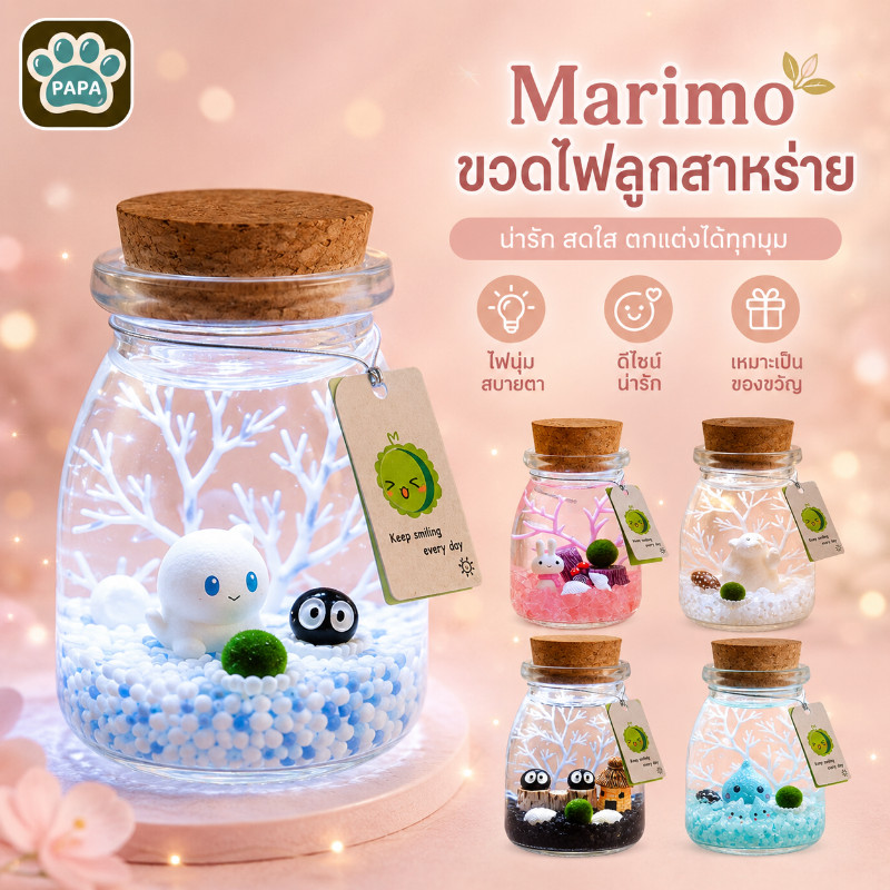 มาริโมะ เซ็ตมาริโมะโหลกลม ชุดพร้อมเลี้ยงมาริโมะ marimo มอสบอล ชุดพร้อมเลี้ยงมาริโมะแท้