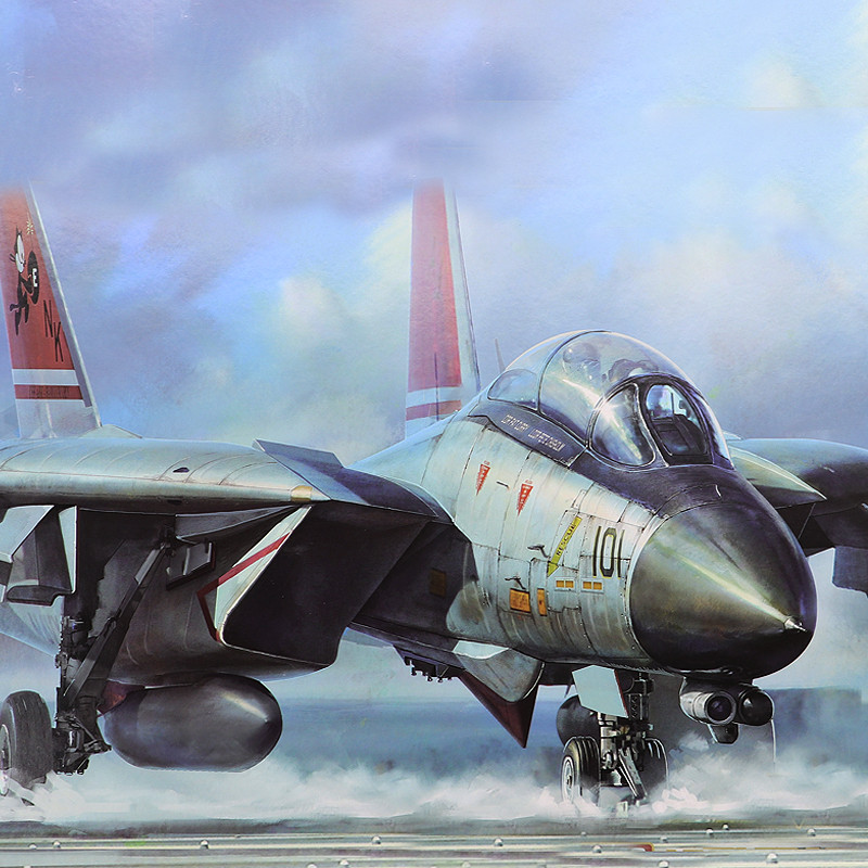 Henghui รุ่น AMK 8809 1/48 F-14D Tomcat Fighter พร้อม VF-2 และ VF-31 ภาพวาดใหม่
