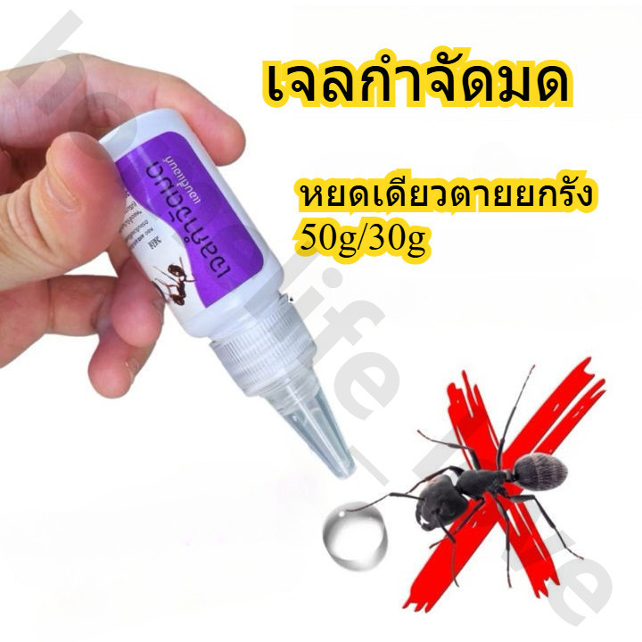 Antiant เจลกำจัดมด แอนติแอนท์ เหยื่อกำจัดมด เจลล่อมด หยดเดียวตายยกรัง 50g/30g เพิ่มปริมานขึ้น