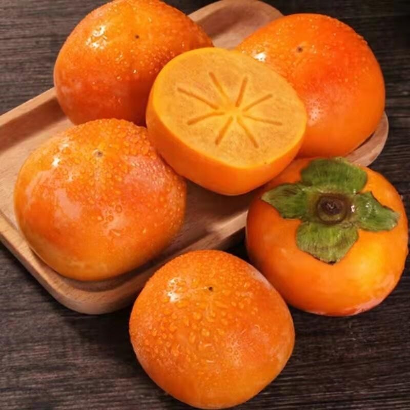 10เมล็ด เมล็ดพันธุ์ ลูกพลับ Persimmon Seeds Fruit Seeds บอนไซ ต้นไม้มงคล เมล็ดพันธุ์บอนสี เมล็ดพันธุ์ผลไม้  Plants - รูปที่ 2