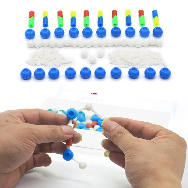 Seng DNA ชุดส่วนประกอบ DNA Double Helix Model ช่วยสอนวิทยาศาสตร์ชีวภาพ