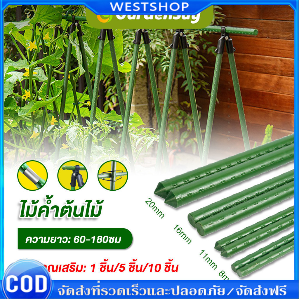 เสาค้ำต้นไม้ชุดใหญ่ 10 อัน ราคาดี - เหมาะคนมีสวนหลายจุดหรือต้องการสำรองไว้ใช้