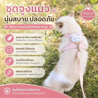PawTica สายจูงแมวรัดอก เสื้อจูงแมวหมา น่ารักสุดๆ ลายหมี/กระต่าย น้ำหนักเบา ปรับกระชับ ช่วยลดการหลุด สำหรับสัตว์เลี้ยงเล็ก S/M