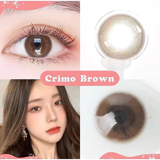 ส่งด่วนทุกวัน‼️คอนแทคเลนส์ รุ่น Crimo (Mini Primo) สี Brown / Gray - Gaezz Secret ขนาดมินิ