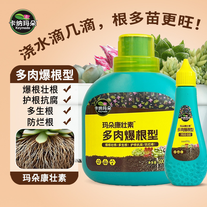 Kanamado Kangzhuang Succulent Root-bursting Root-type Root Liquid Root-bursting ปุ๋ย-bursting สารอาห