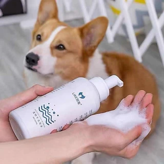 500ML โฟมซักแห้งสัตว์เลี้ยง โฟมอาบน้ำแห้ง โฟมอาบแห้งแมว โฟมอาบแห้งสุนัข สเปรย์อาบน้ำแห้ง แชมพูแมว โฟมซักแห้ง สุนัข แมว