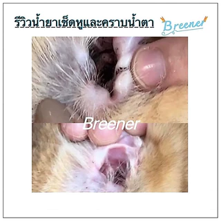 Breener น้ำยาเช็ดหู ทำความสะอาด/ลดการอักเสบช่องหู ลดไรหู เช็ดตา เช็ดผิวหนังอักเสบ 180 ml.