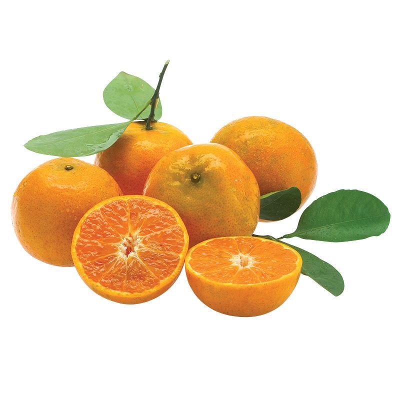 ส้มสายน้ำผึ้งถุงตาข่าย Sainamphung Orange Pack [หมายเลขบาร์โค้ด 0209200037551 ] สินค้าคุณภาพดี คัดสรรอย่างตั้งใจ