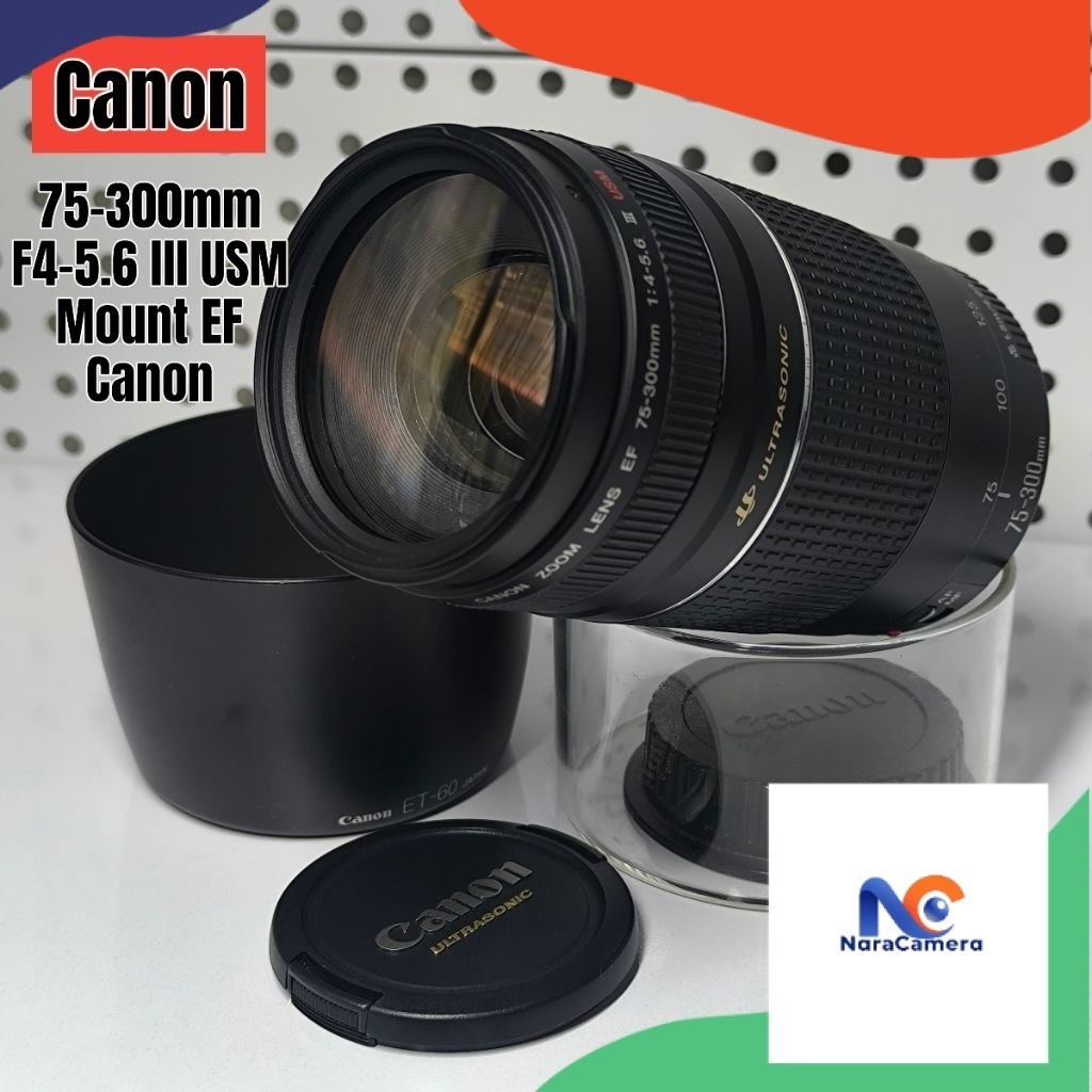 Canon EF 75-300mm f4.5-5.6 III USM + Hood Mount EF Canon