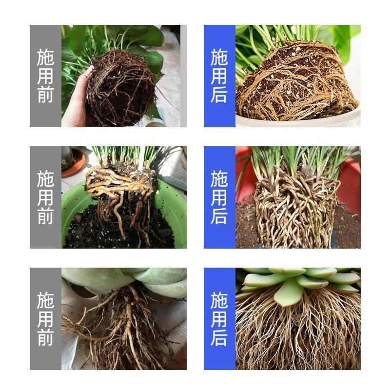 Fast Root Generator Big Tree Root Nutrient Solution Dead สาขา Rotten Leaf Dead Tree สีเหลือง Leaf Ro
