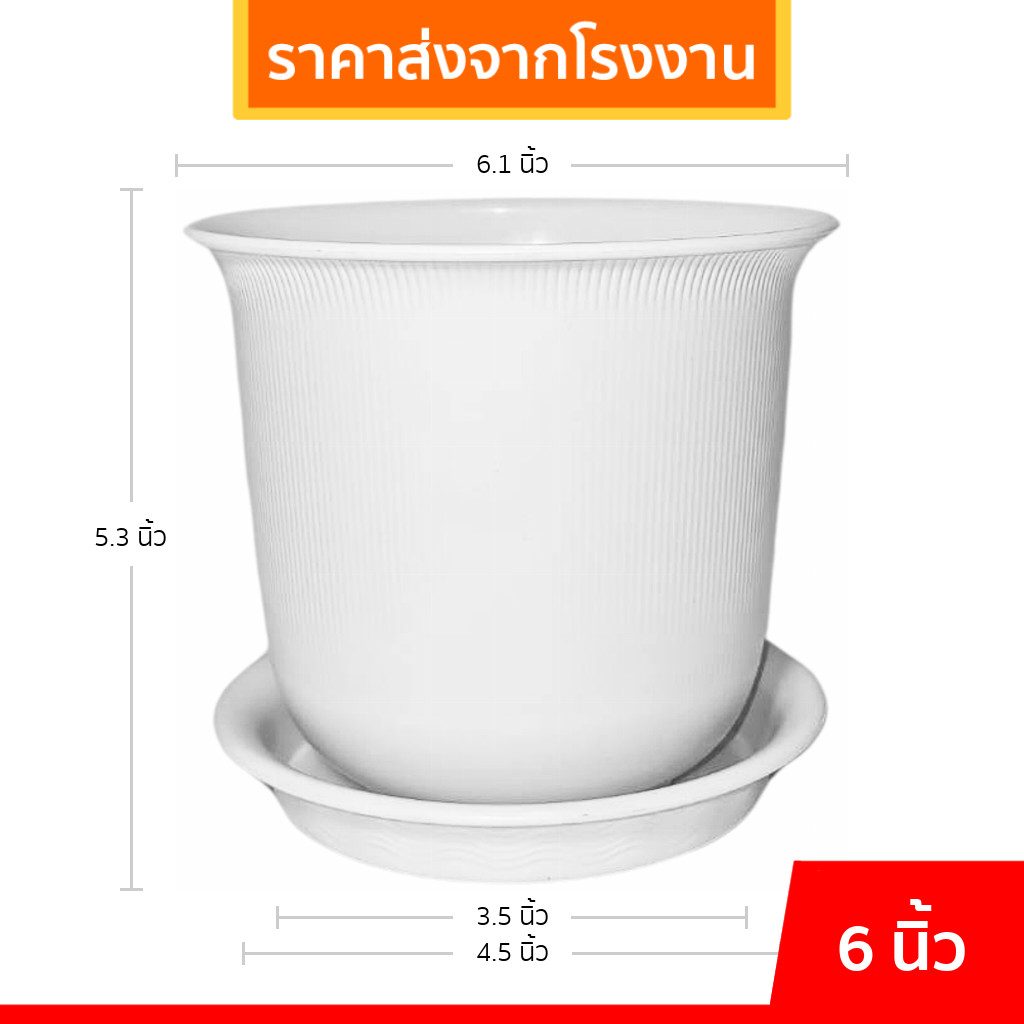 กระถางต้นไม้ มินิมอล ถ้วยจีน+จาน ขนาด 6 นิ้ว สีขาว สีเทา ขั้นต่ำ 5 ใบ ชิ้น อัน