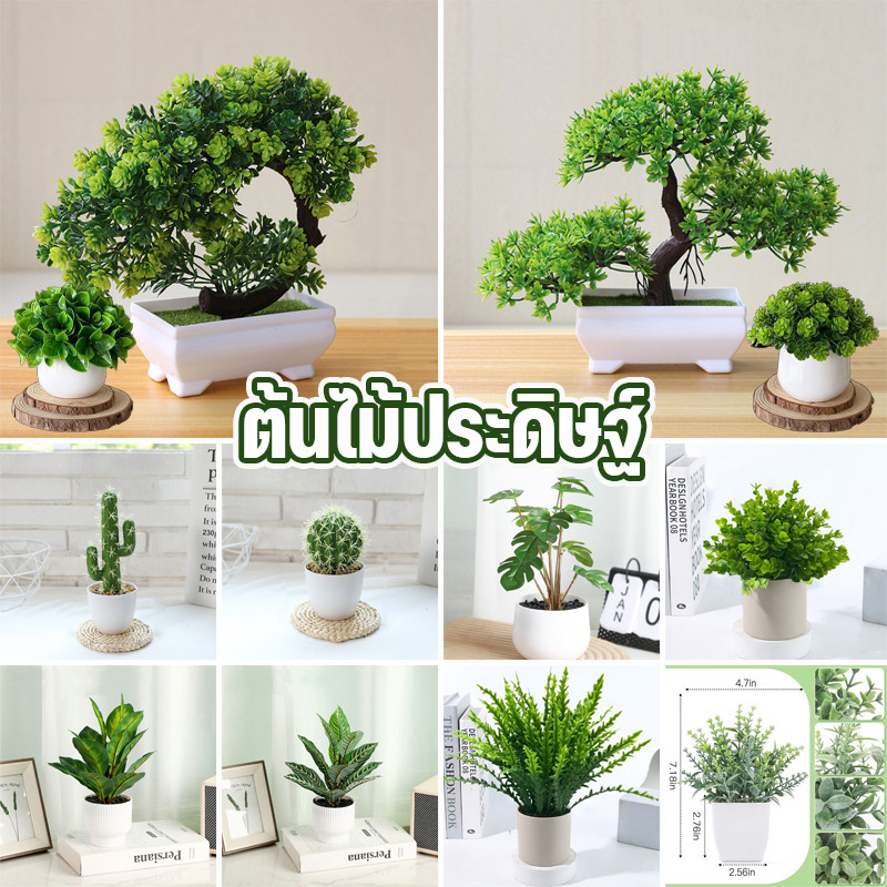 พร้อมส่ง ต้นไม้ประดิษฐ์ในกระถาง สมจริงมาก ทิวลิป ต้นสนเมฆ เครื่องประดับดอกไม้ การตกแต่งภายใน