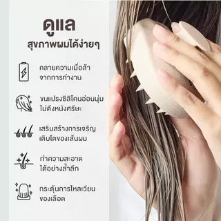 แปรงสระผม สระผมให้สะอาดยิ่งขึ้น แปรงนวด แปรงนวดหนังศรีษะ วัสดุจากข้าวสาลีเป็นมิตรกับสิ่งแวดล้อมScalp Brush