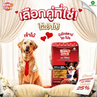 Bingo Star Hipro บิงโกสตาร์ ไฮโปร อาหารสุนัข ชนิดเม็ด รสแกะ โปรตีนสูง ขนาด 1 Kg (ถุงแบ่งจากกระสอบ)