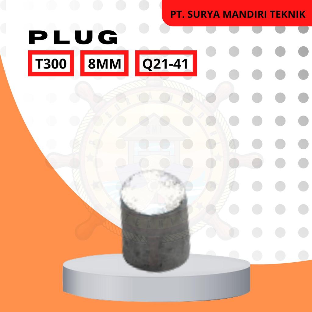 PLUG T300 8MM (Q21-41) & 12MM (Q21-48)