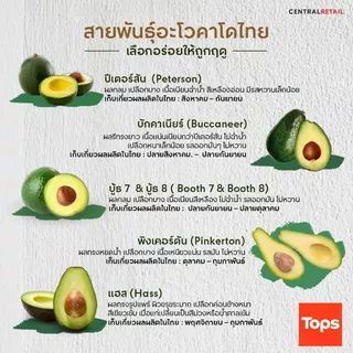 มายช้อยส์อโวคาโดไทยแพค 1000ก My Chioce Thai Avocado Pack 1000g. [หมายเลขบาร์โค้ด 0000024967372 ]