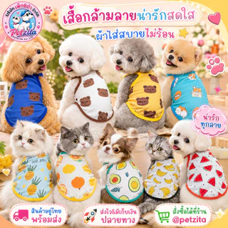 🇹🇭พร้อมส่ง🇹🇭 🍓🍉🍍🐻 เสื้อกล้ามเซ็ทลาย ผลไม้ & หมีบราวน์ น่ารักสุด และ ผ้าใส่สบายมากจ้า /// เสื้อสุนัข ชุดหมา ชุดแมว