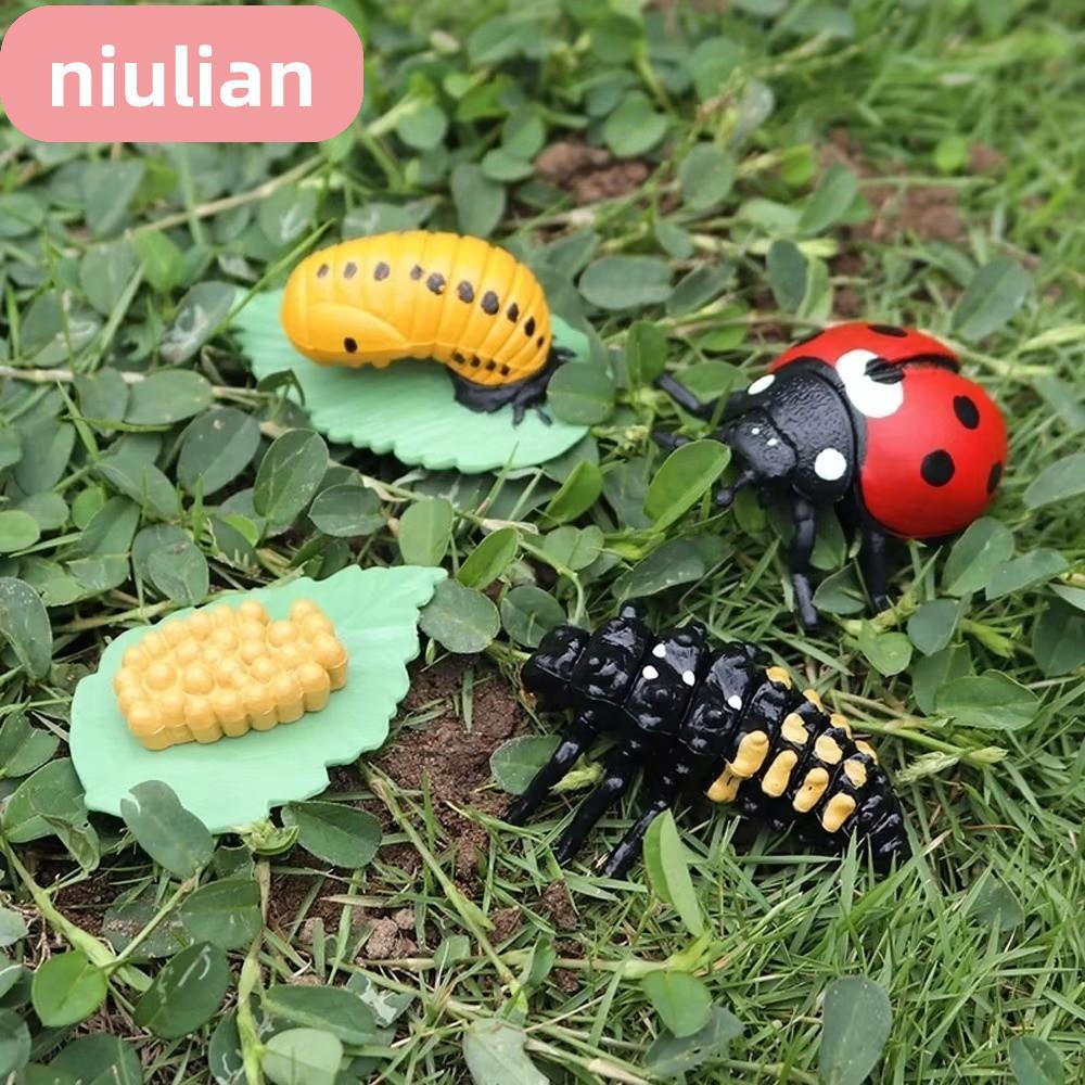 NIULIAN 4 ชิ้น/เซ็ต Life CYCLE ตุ๊กตา, Miniature ขนาดตัวเลขการกระทําสไตล์สัตว์ Growth CYCLE, การศึกษ