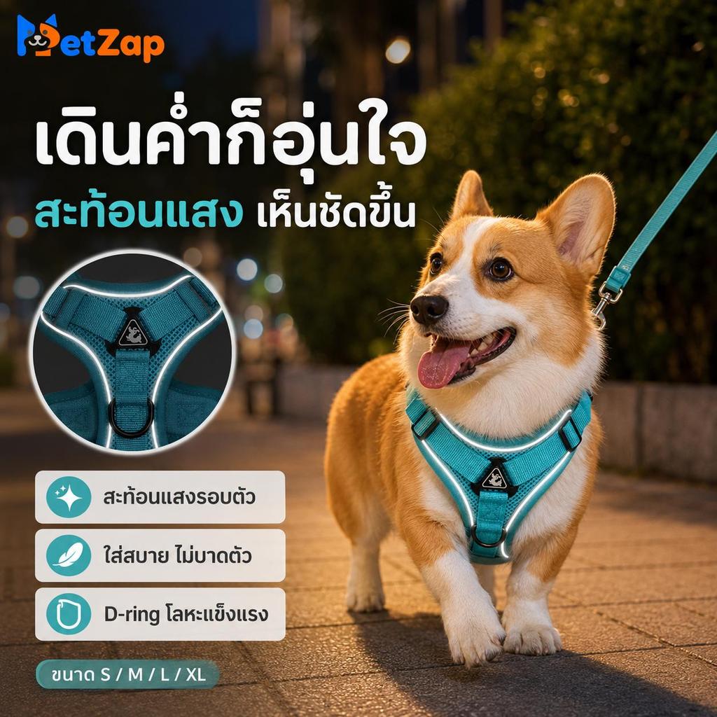 【PetZap】สายรัดอกสุนัข สายจูงหมา สายรัดอกแมว สะท้อนแสง ระบายอากาศได้ดี ไม่รัดคอ อุปกรณ์สัตว์เลี้ยง พร้อมส่ง COD